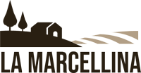 Ville La Marcellina – Luxury and Distinct Chianti Tuscany Italy Villas